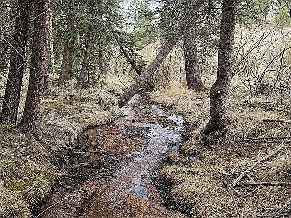 3rd image of 1398 Pathfinder Rd