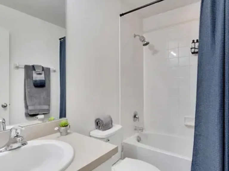 7047 Towering Spruce Dr — Photo 14