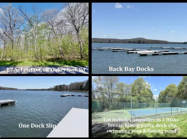 Turkey Neck Rd Lot 12, Swanton, MD 21561