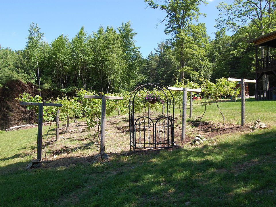 Your own private vineyard