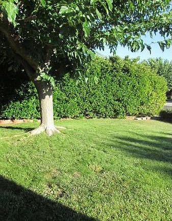 Front Yard looking to Street