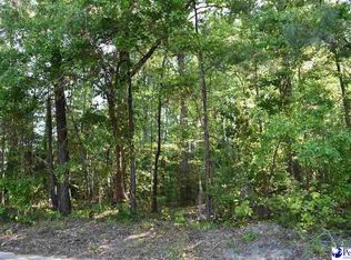 605 Forest Acres Dr, Pamplico, SC 29583