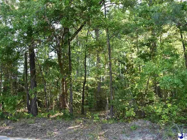 605 Forest Acres Dr, Pamplico, SC 29583