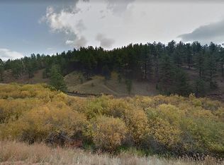 428 Bear Mountain Rd, Florissant, CO 80816