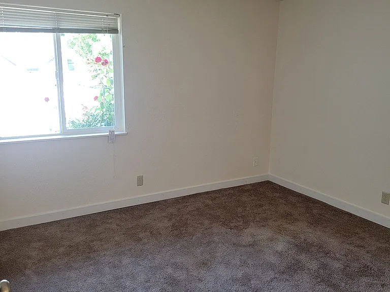 Pine Crest Apartments — Photo 11