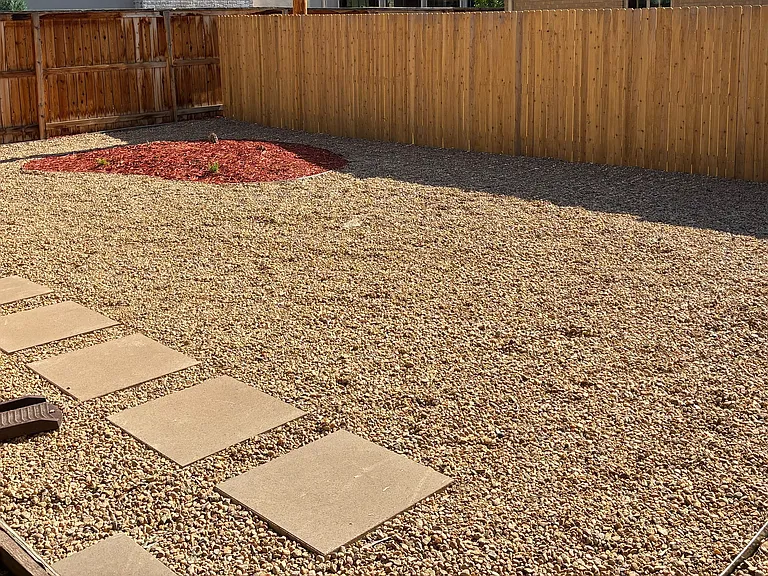 Fenced back yard