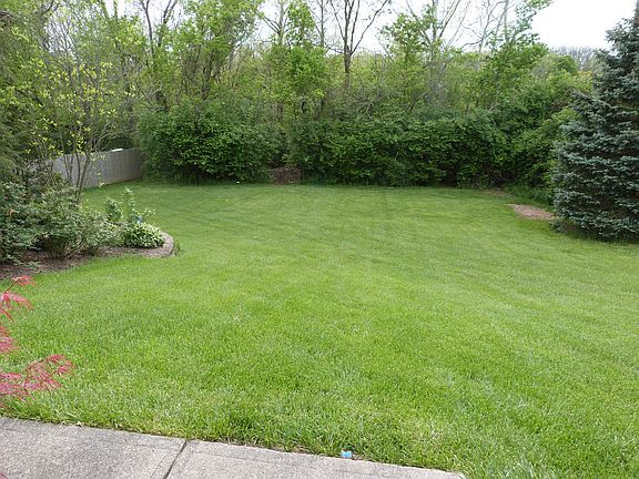 Side yard view from entry