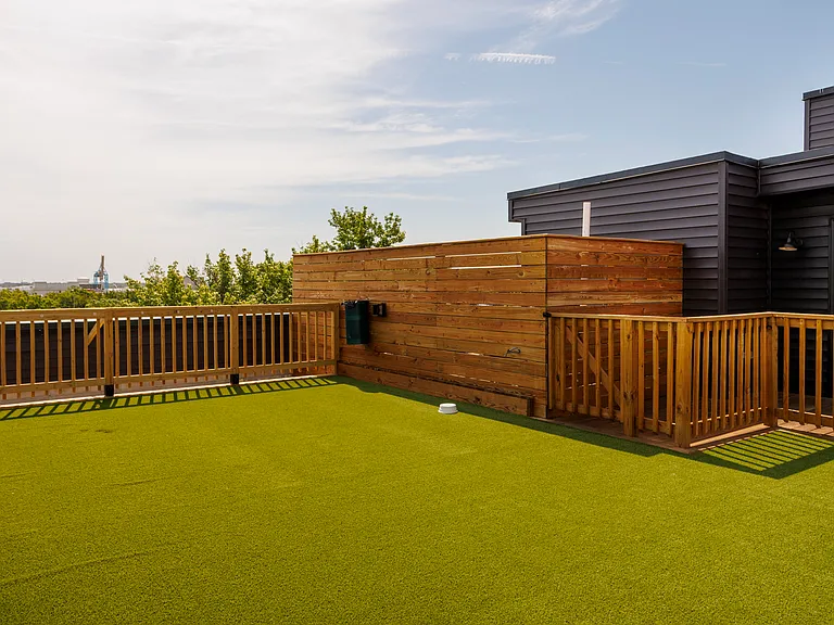 Roof Dog Run