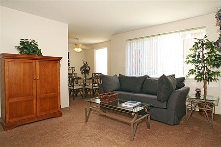 1 bedroom living room & dining room