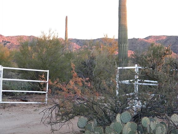 2nd image of 41611 E Crested Saguaro Ln