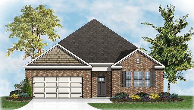 Elevation Image 0.