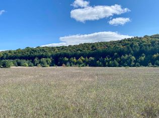 1983 Mount Jack Rd, Elmira, MI 49730