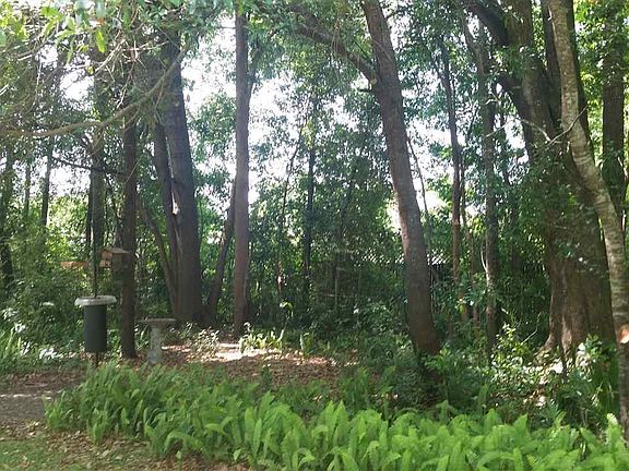 5th image of 105 Briarwood Dr