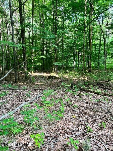 3rd image of Lot 1 McGregor Road Lot 1