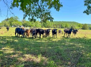 82 Herring Rd, Quitman, AR 72131