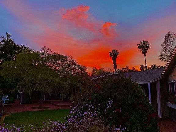 September pink moment