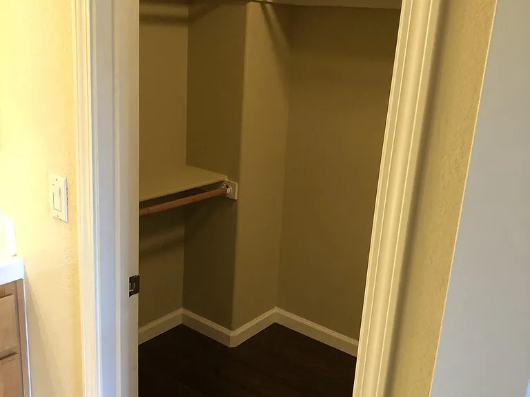 Walk-In Closet for Master Bedroom