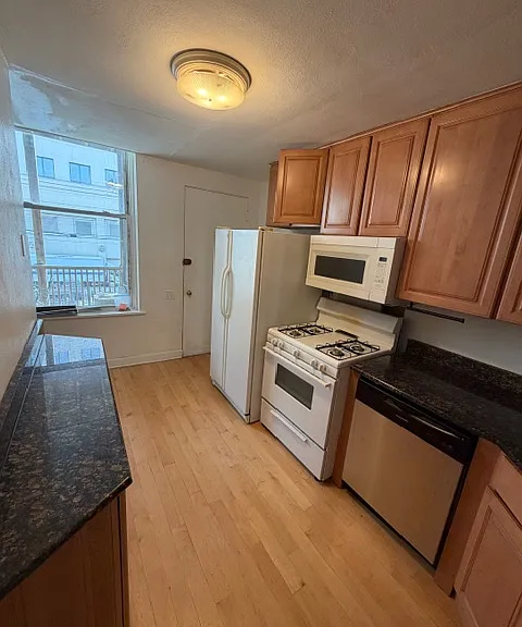 1039 N La Salle Dr #10 — Photo 6