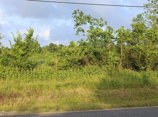 0 Deer Run, Shepherd, TX 77371