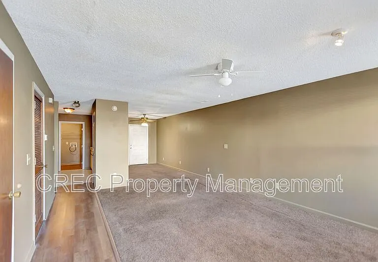 169 Pine Shadow Dr — Photo 4