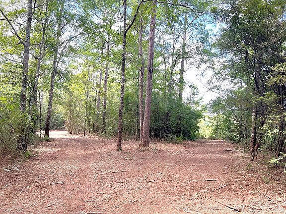 3rd image of N Highway 181