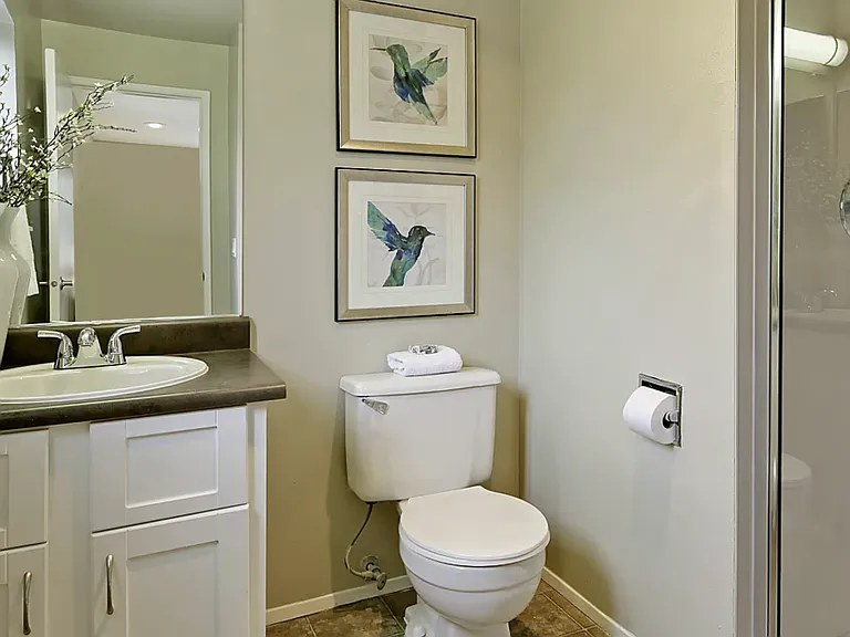 Station at Mill Creek Apartments — Photo 8