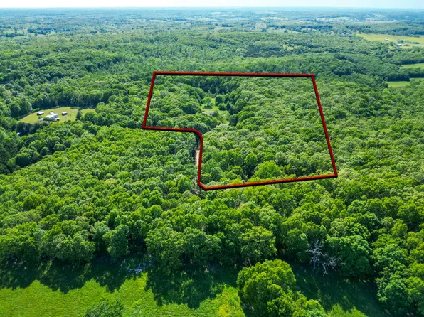 10650 Sunflower Lane, Falcon, MO 65470