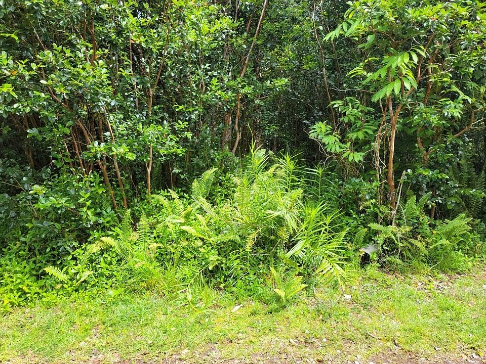 1st image of Hilo St Lot 454