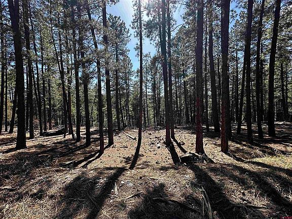 2nd image of 99 Pine Cone Circle