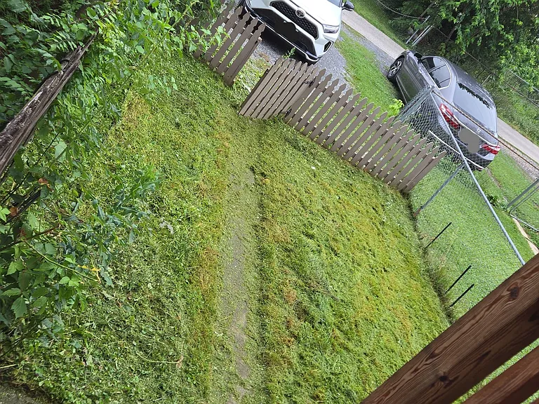 Yard with plenty of space for you, your family, friends, and pets.