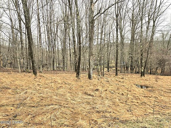 2nd image of 697 Black Bear Rd