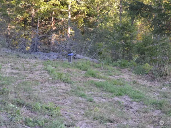 0 S Skate Creek Rd. Lot 2, Packwood, WA 98361