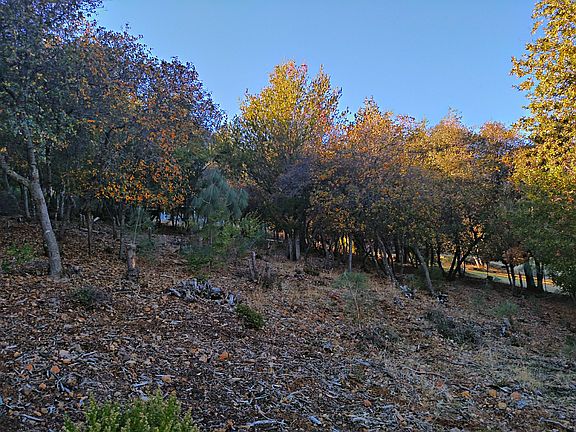 3rd image of 3519 Crestwood Dr