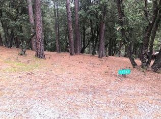 12301 Tower Peak Ct, Groveland, CA 95321