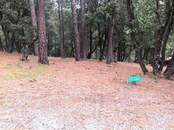 12301 Tower Peak Ct, Groveland, CA 95321