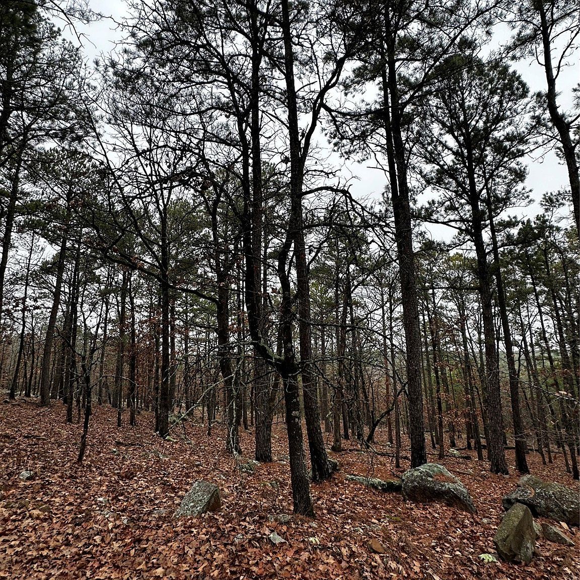 1 E Farmer Rd, Stringtown, OK 74569 MLS 2344013 Zillow