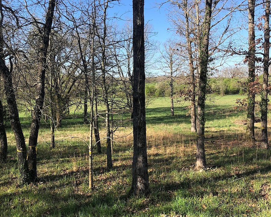 1st image of 2204 Deer Valley Dr