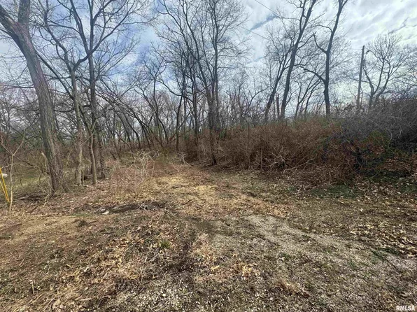 W Lonsdale Rd, Peoria, IL 61604