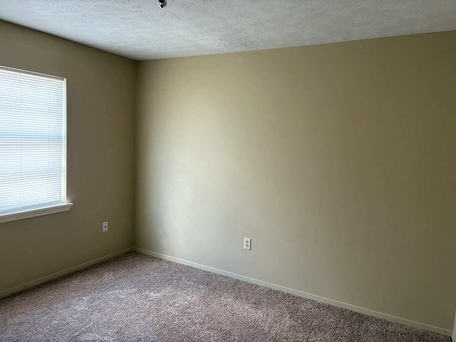 2 bed, 850 sqft, $750 — Photo 3