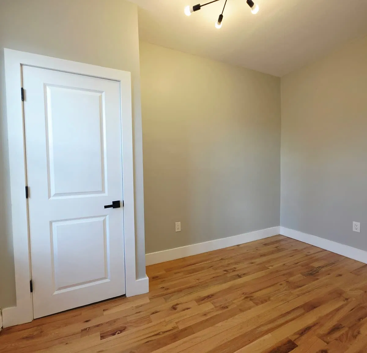 3 bed, 1000 sqft, $2,650 — Photo 3