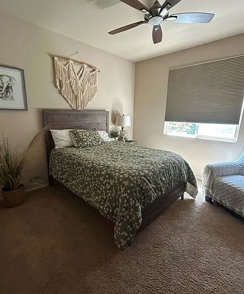 29451 Bouris Dr — Photo 10