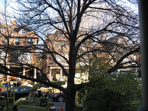 4613 Cedar Ave #2F Photo 1