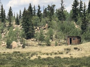 475 Swiggler Rd, Jefferson, CO 80456