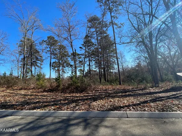 96 Cow Poke Ln #96, Rutledge, TN 37861