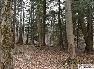 0 Hammond Hill Rd, East Otto, NY 14729