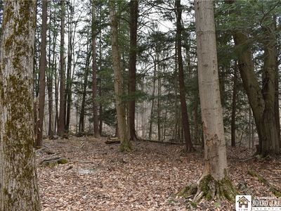 0 Hammond Hill Rd, East Otto, NY, 14729