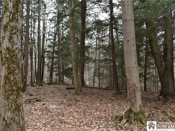 0 Hammond Hill Rd, East Otto, NY 14729