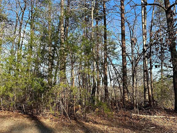 5th image of 0 Hawkins Ln