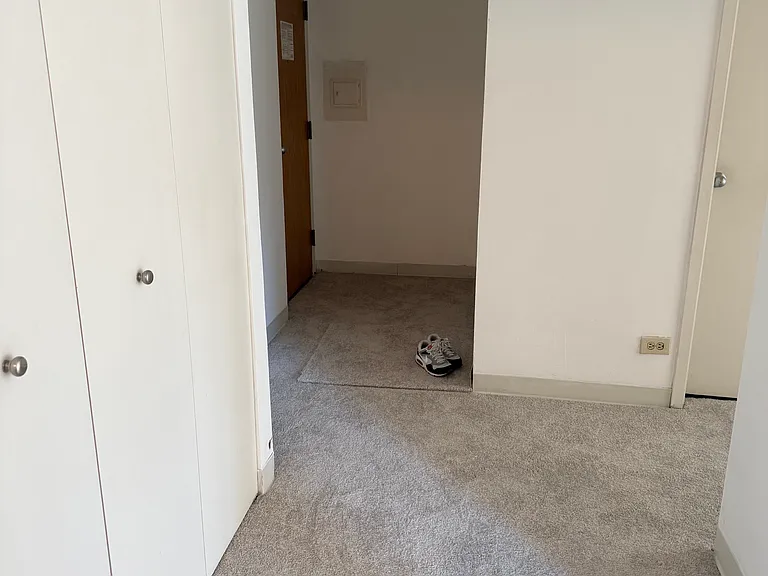 200 N Dearborn St #1503 — Photo 16