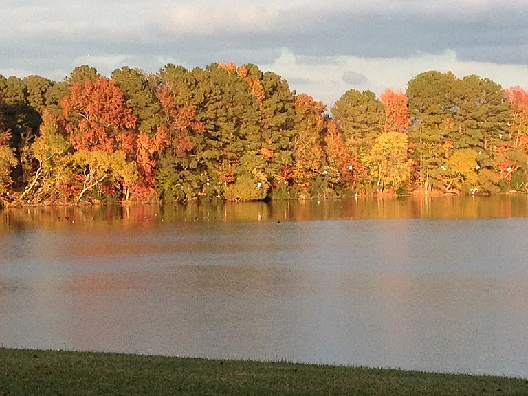 Lake Front Community